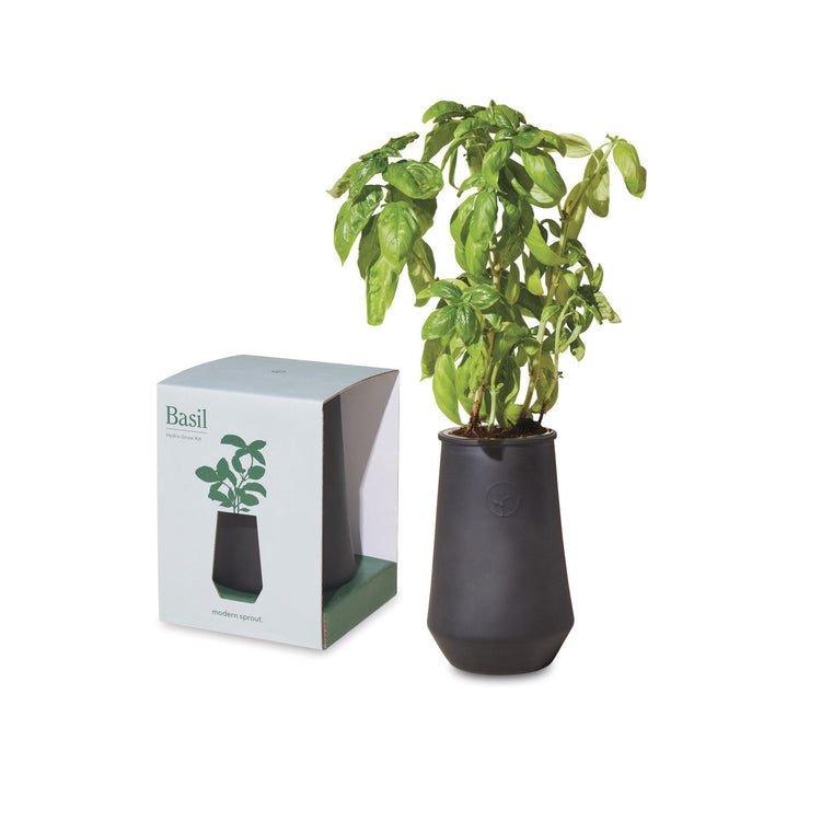 Modern Sprout Tapered Grow Kit - Spoiler Alert