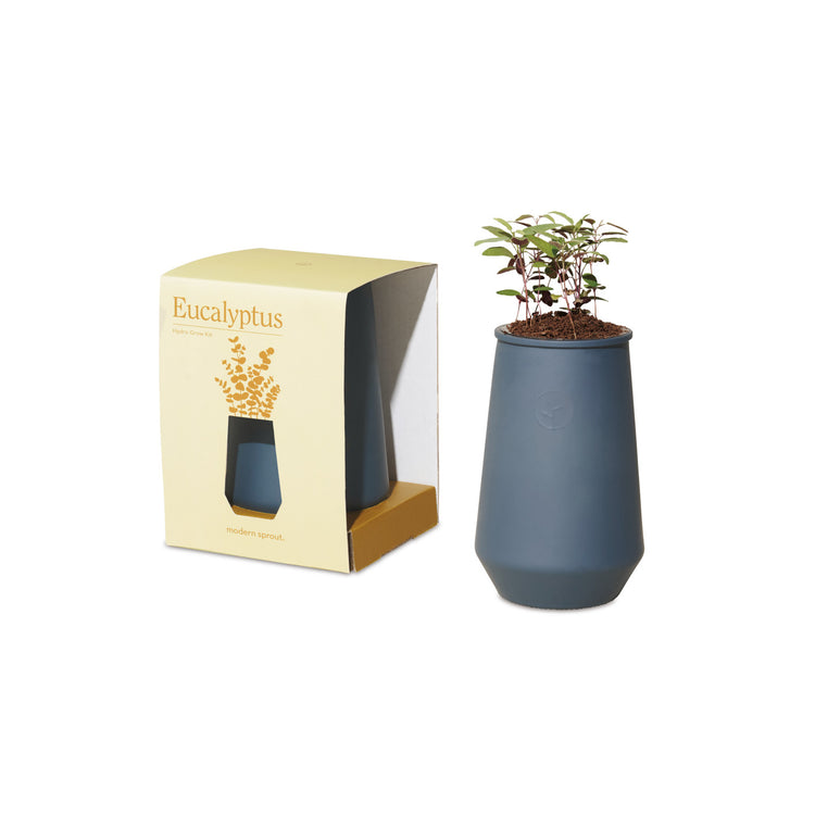Modern Sprout Tapered Grow Kit - Spoiler Alert