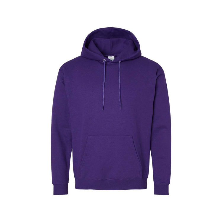 Hanes Ecosmart® Hoodie