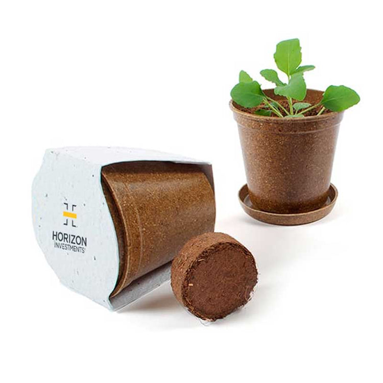 Mini Planting Kit - Horizon
