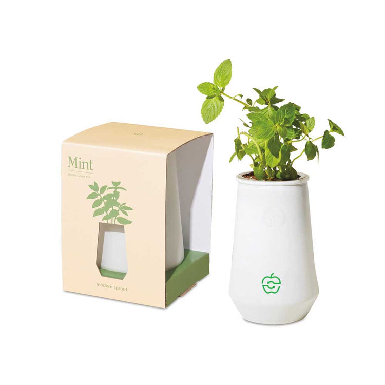 Modern Sprout Tapered Grow Kit - Spoiler Alert