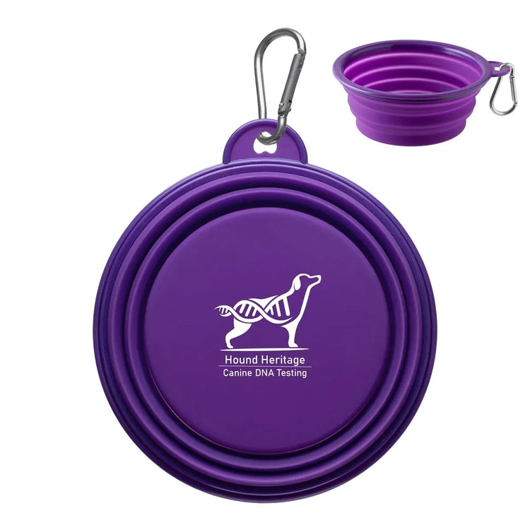 Collapsible Silicone Pet Bowl - Horizon