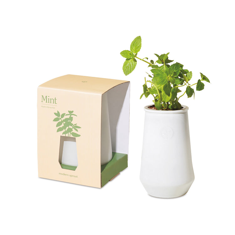 Modern Sprout Tapered Grow Kit - SIG