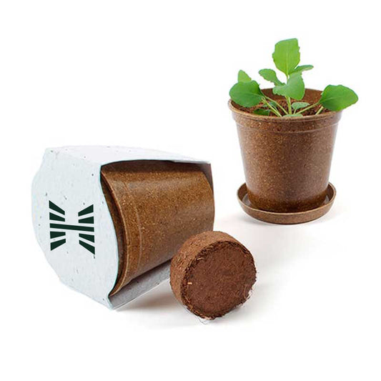 Mini Planting Kit - Hyphenate